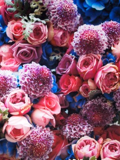 P6120342 01-57-00.jpgのサムネール画像